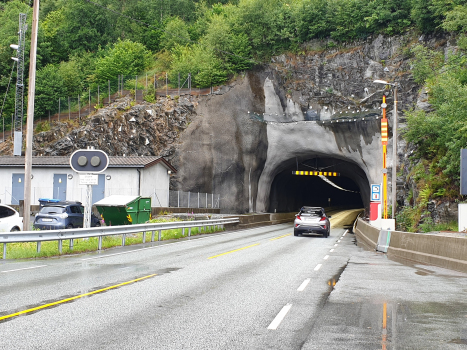 Tunnel de Mundalsberg