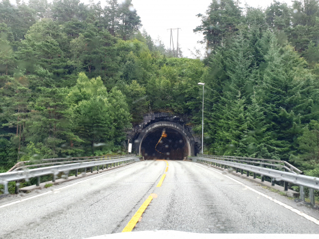 Sauås Tunnel
