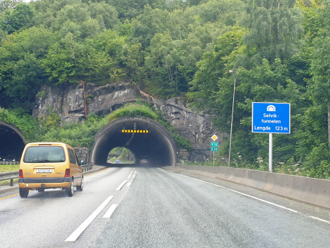 Selvik Tunnel