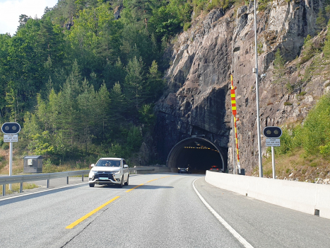 Tunnel de Skjeggestad