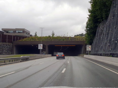 Tunnel de Skjoldnes