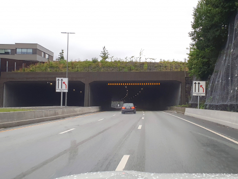 Skjoldnes Tunnel