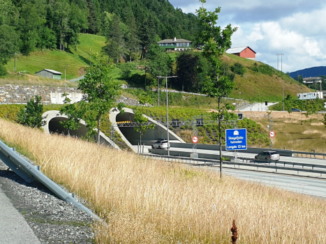 Tunnel de Skogafjell