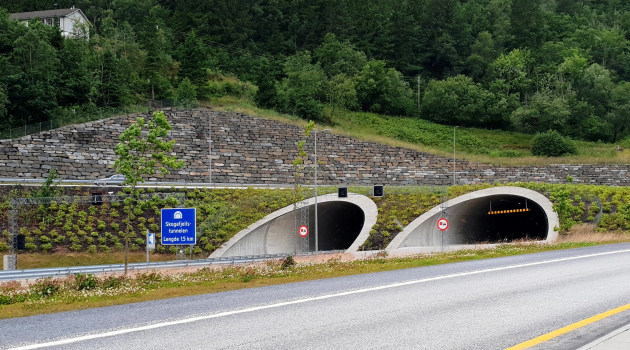 Tunnel de Skogafjell