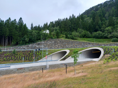 Tunnel Skogafjell