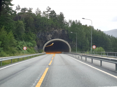 Tunnel de Steinanes