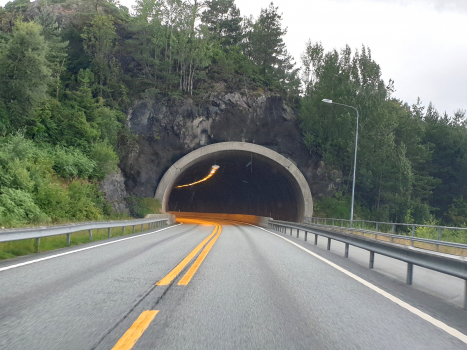 Steinanes Tunnel