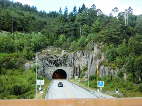 Tunnel Teistedal