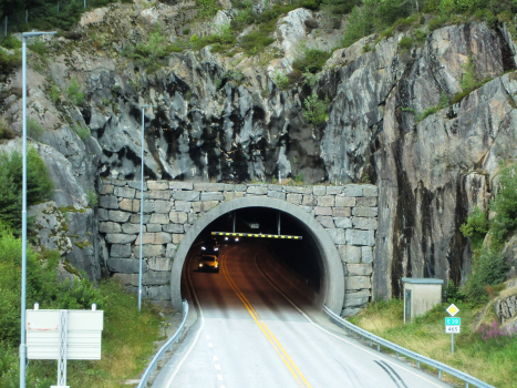 Tunnel de Teistedal