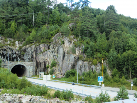 Tunnel Teistedal