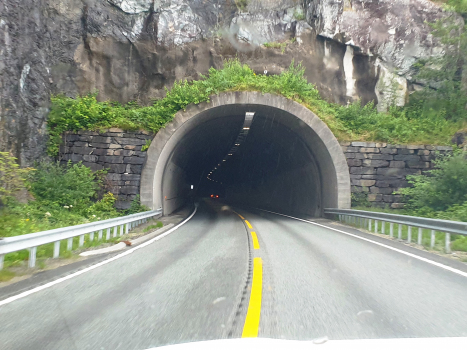 Uføre Tunnel