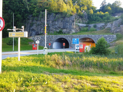 Tunnel de Vågsbygdporten