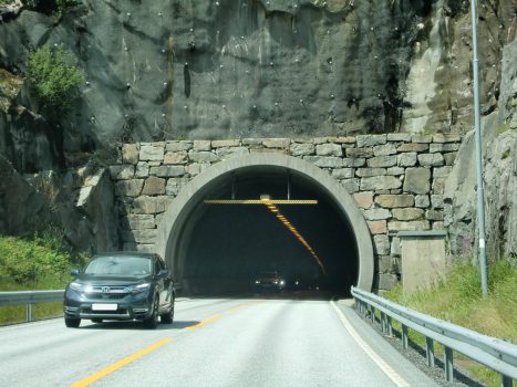 Vatland Tunnel southern portal