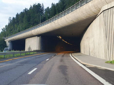 Tunnel de Nøstvedt