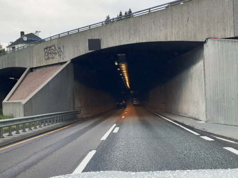 Tunnel de Bryn