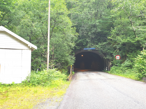 Tunnel Raudberg