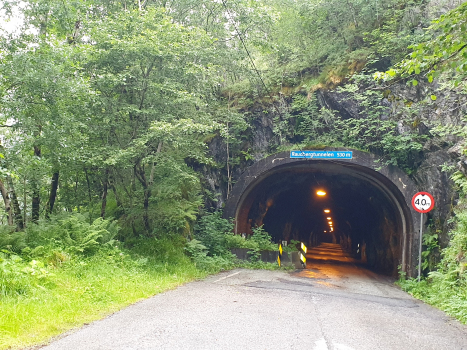 Tunnel de Raudberg