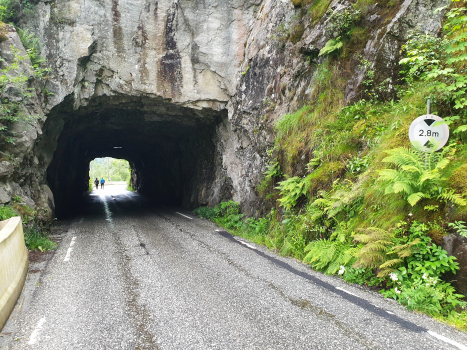 Tunnel de Risnes I