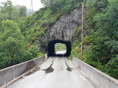 Tunnel de Risnes II