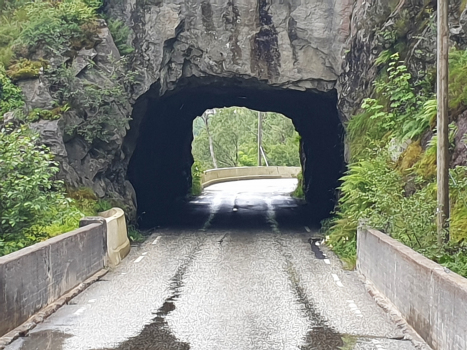 Tunnel de Risnes II