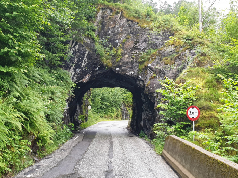 Tunnel de Risnes III