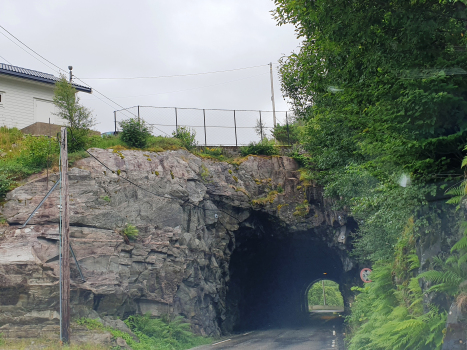 Tunnel Risnes IV