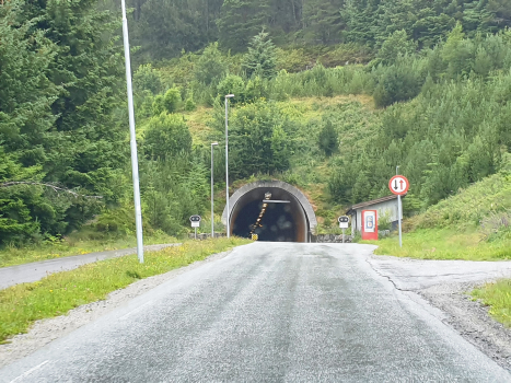 Tunnel d'Alnes