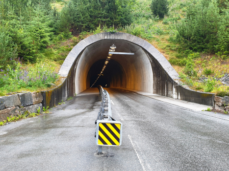 Alnes Tunnel