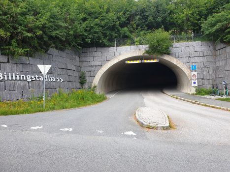 Tunnel de Billingstadlia