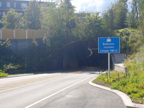 Tunnel de Bekkestu