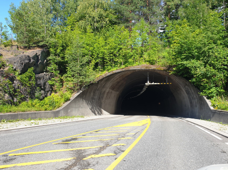 Tunnel de Bekkestu