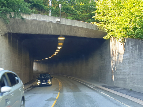 Tunnel de Ringstabekk