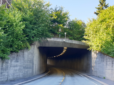Ringstabekk Tunnel