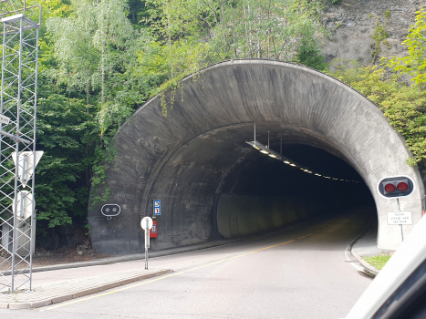 Tunnel de Strandvei