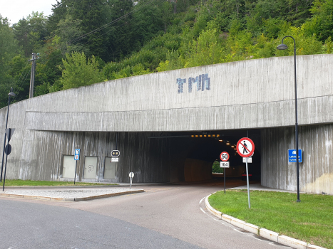 Tunnel de Løkkeås