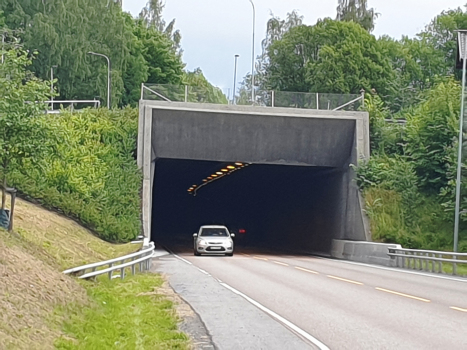 Hamang Tunnel