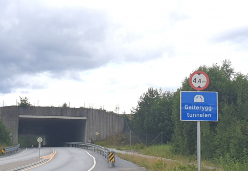 Tunnel Geiterygg