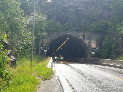 Høgenhei Tunnel
