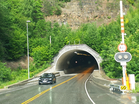 Tunnel de Høgenhei