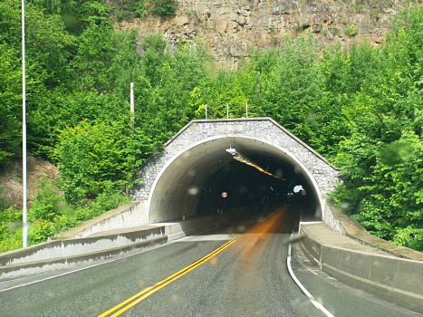 Tunnel de Høgenhei