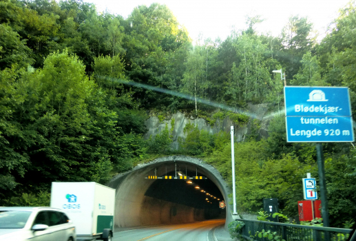 Tunnel Blødekjær