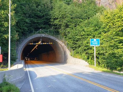 Tunnel de Blødekjær