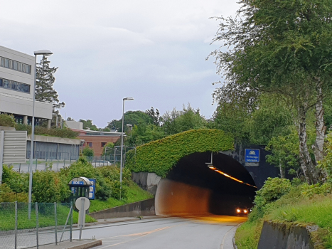 Tunnel de Hillevåg