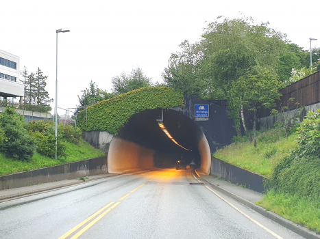 Tunnel de Hillevåg