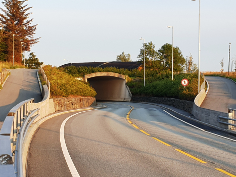 Tunnel Skeie