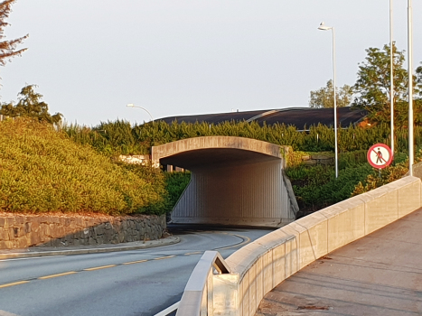 Tunnel de Skeie