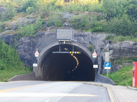 Tunnel Flekkerøy