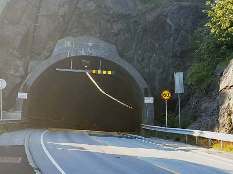 Flekkerøy Tunnel