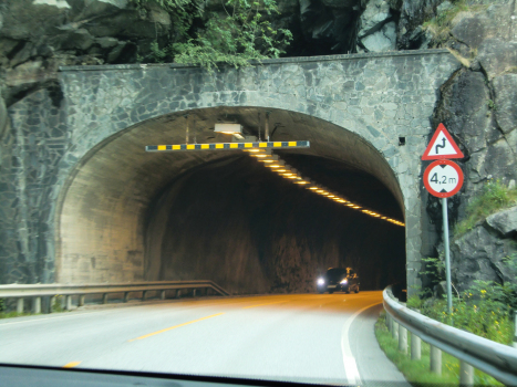 Tunnel de Kleven