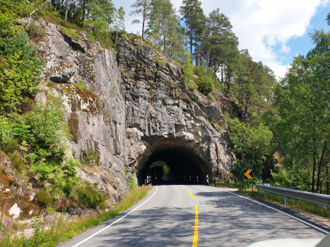Tunnel de Kongevoll